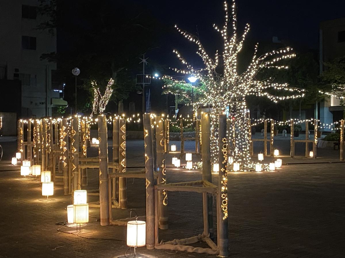 Hitachi-Taga Summer Illumination 2025～夏の桜と竹灯籠～3