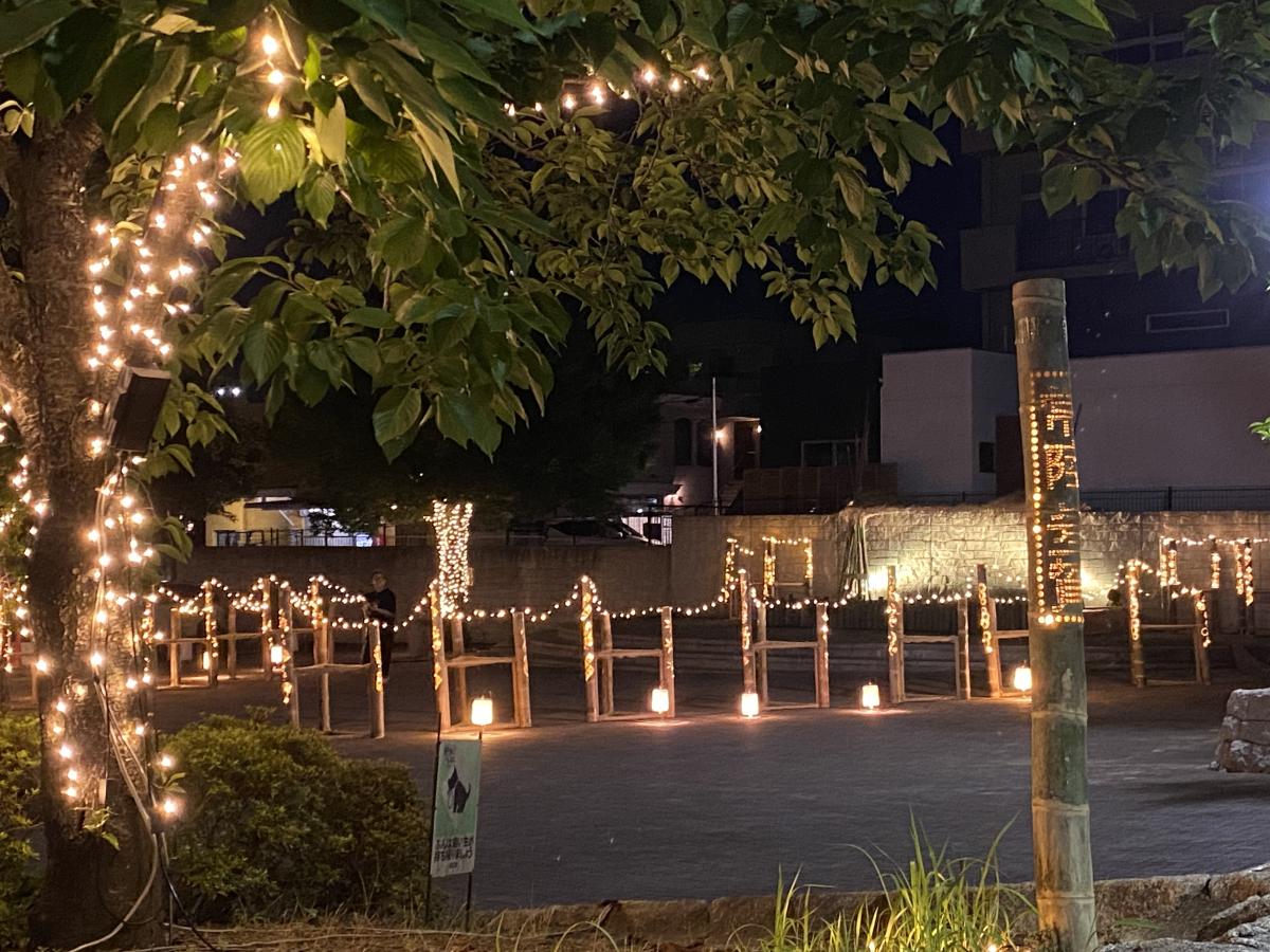 Hitachi-Taga Summer Illumination 2025～夏の桜と竹灯籠～1