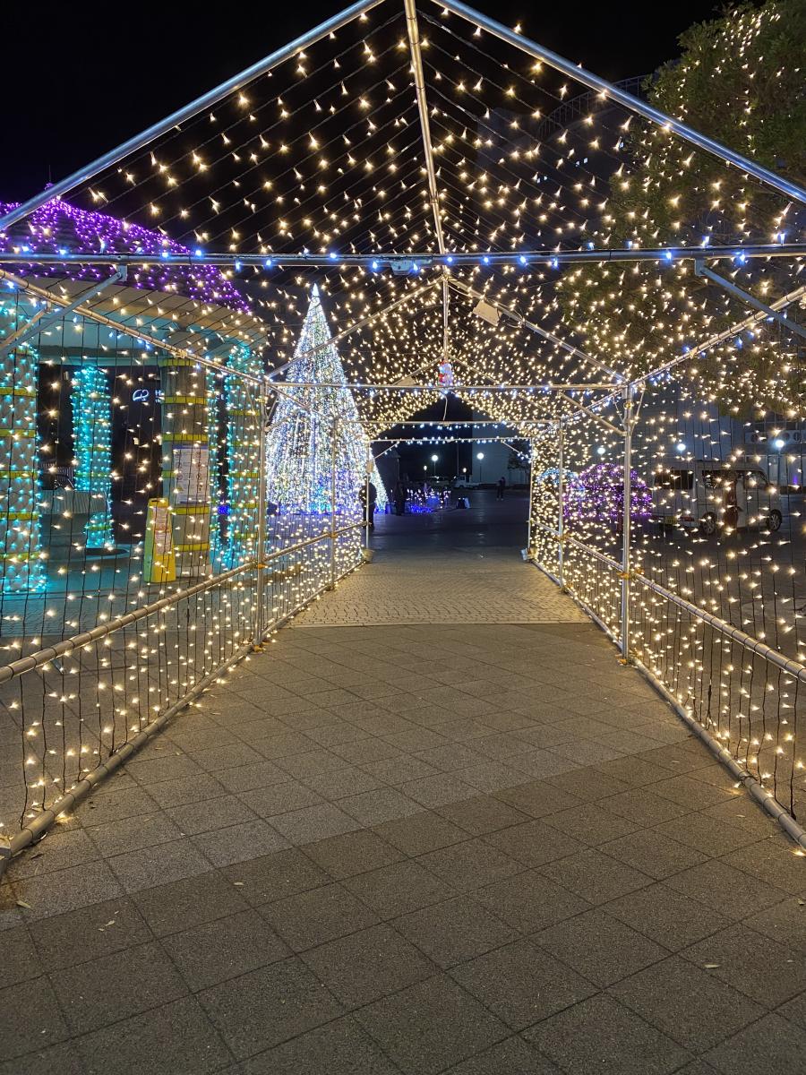 Hitachi Starlight Illumination 2025（ヒタチスターライト