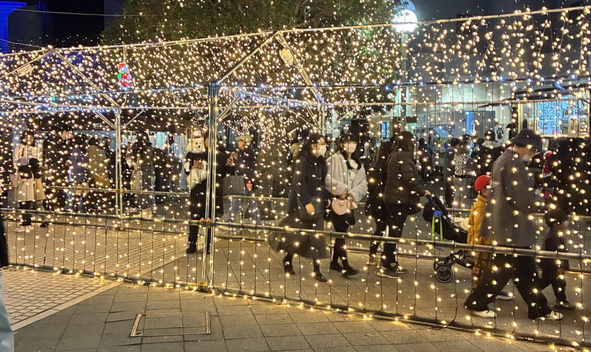 多賀市民会館開館20周年記念事業「Hitachi-Taga Summer Illumination 2026『颯』」3