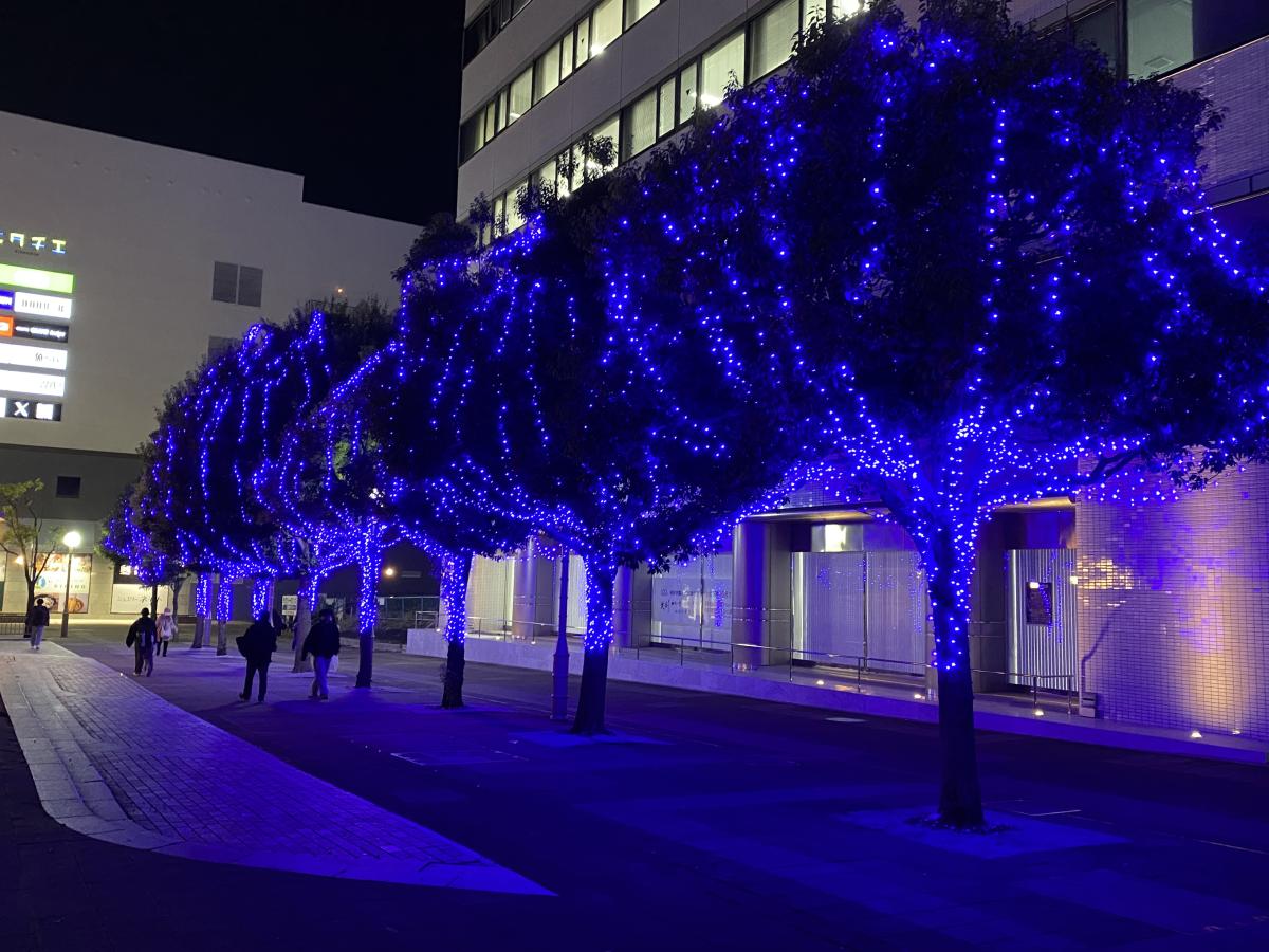Hitachi Starlight Illumination 2026（ヒタチ スターライト イルミネーション 2026）3