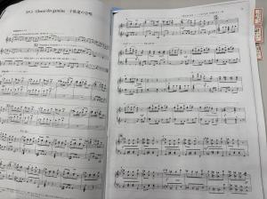 カルメン見出し2