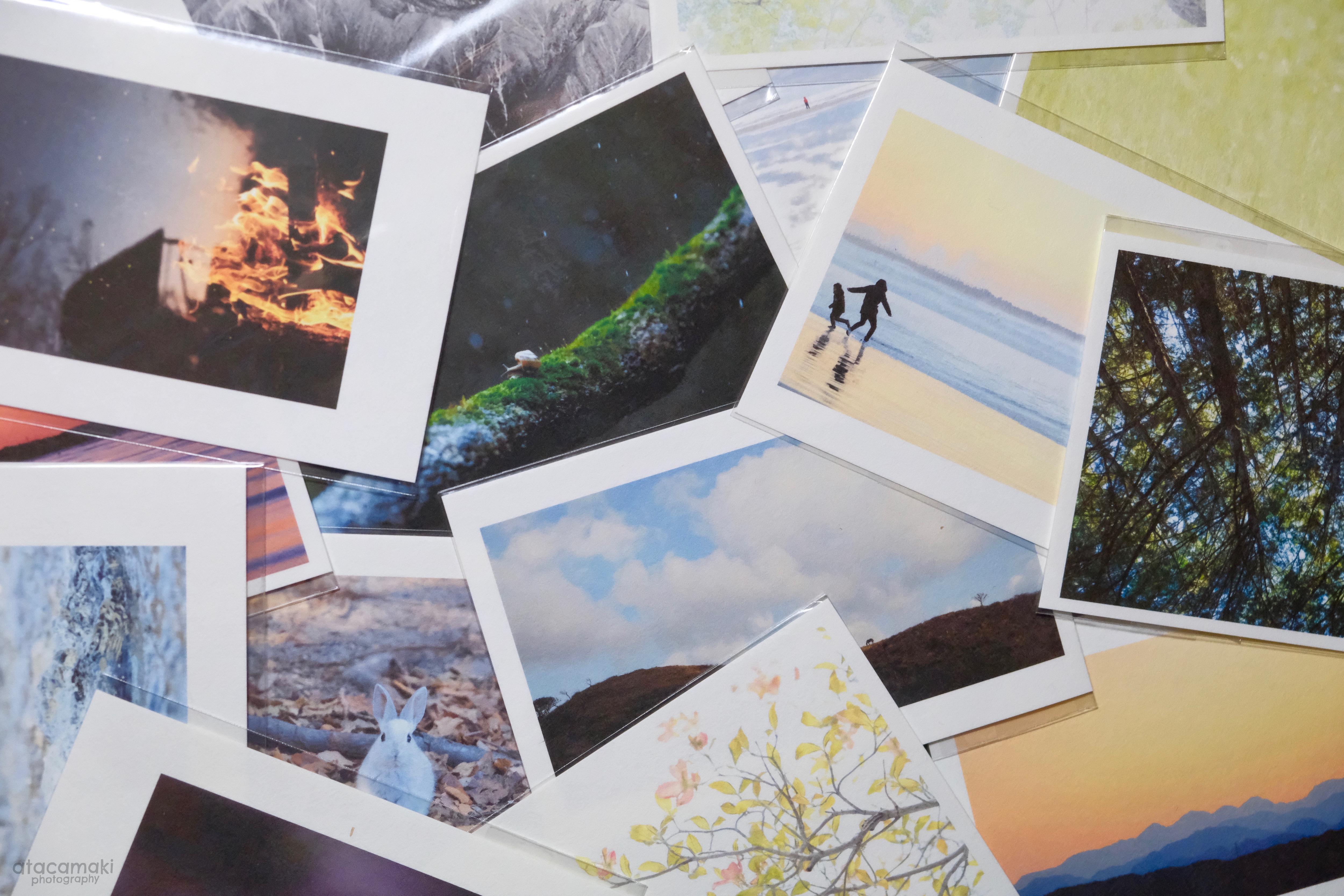 安宅真樹作品(2)