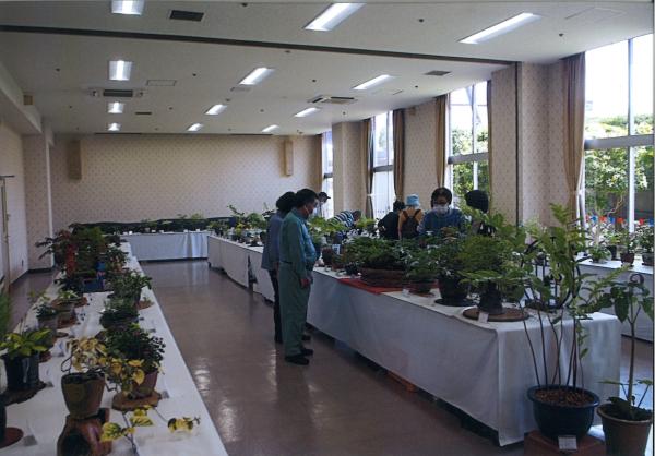 令和8年度日立市芸術祭「第40回初夏の山野草展」1