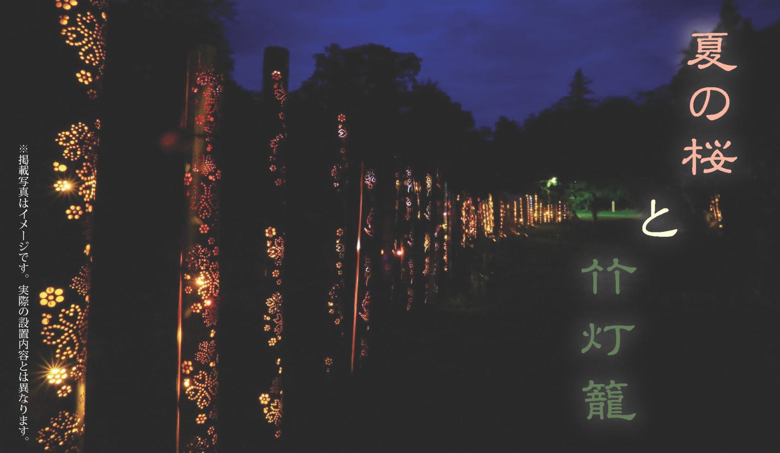 Hitachi-Taga Summuer Illumination2025