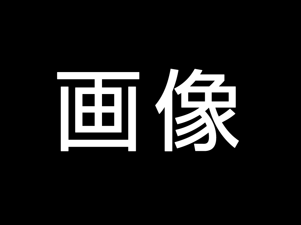 サンプル画像