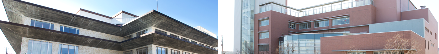 記念展示会をみんなで作ろう!写真や記念品大募集の情報